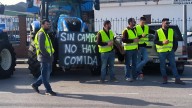 El PP acusa al Gobierno de "castigar" a un centenar de agricultores de Málaga con multas por exigir mejoras para el campo