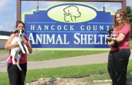 Hancock County Commission reaches out to Ohio neighbors to help with animal shelter