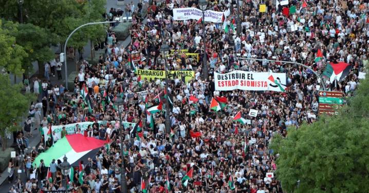 Marchas pro Palestina: Gobierno llama a movilizaciones pacíficas