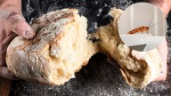 Cómo eliminar a las cucarachas de la cocina usando un poco de pan: una trampa casera y efectiva