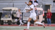 Vicente leads shutout effort as Union beats Linden
