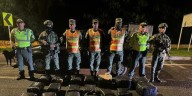Incautan más de 90 kilos de marihuana en operativo en La Línea, Quindío: así fue el operativo