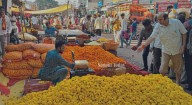 Massive Rush at Nagpur’s Flower Market; Marigold, Chrysanthemum, and Lotus in Huge Demand!
