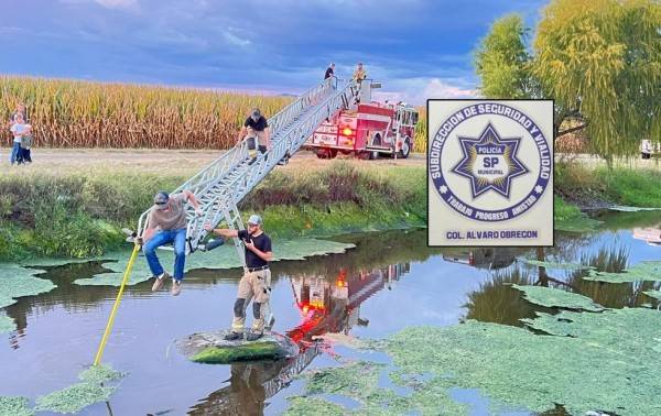 Recuperan vehículo sumergido en un sistema de riego