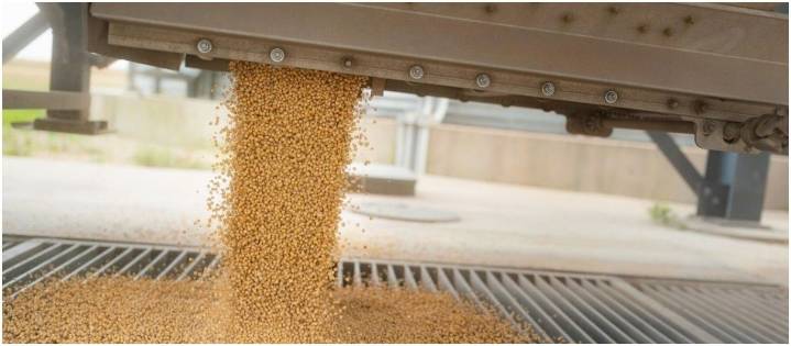 Se disparó el precio de la soja en el mercado internacional: alcanzó el valor más alto en un año