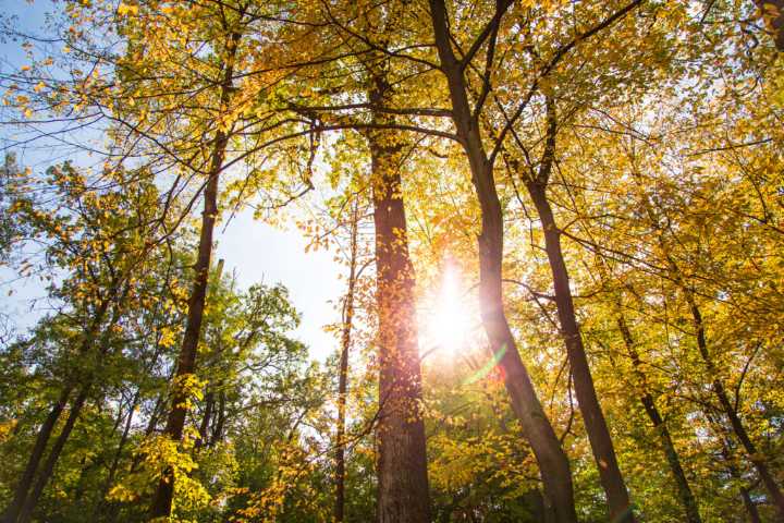 Weather Forecast for Saturday, October 18, 2025