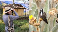 Mérida consolida su liderazgo en observación de aves y turismo especializado