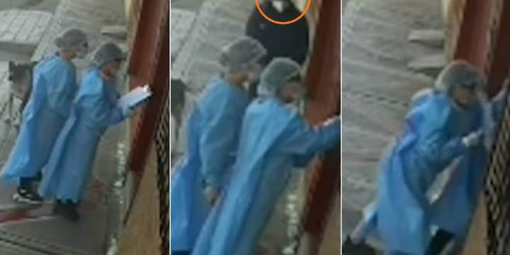 Falsas enfermeras simulan campaña de salud en Tacna, irrumpen en casa familiar, reducen a padre e hijo y roban todo a su paso