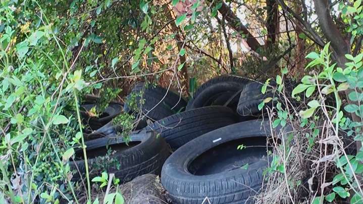 Neighbors say illegal dumping and overgrowth making life miserable in the Ninth Ward