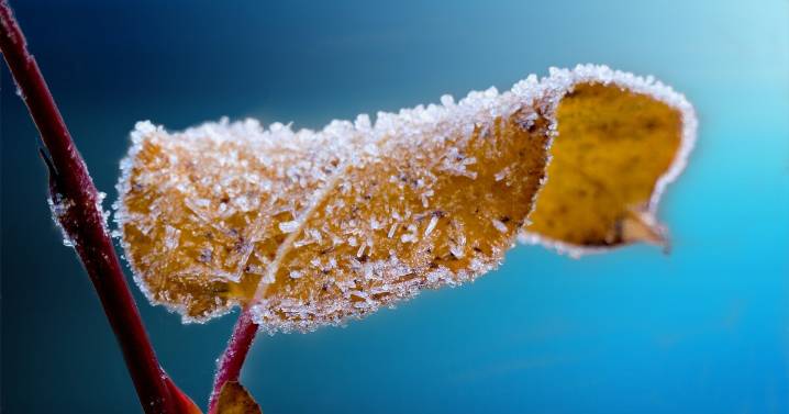A frosty Friday morning