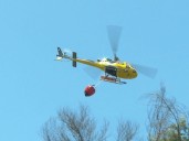 Lanzan campaña de prevención de incendios forestales