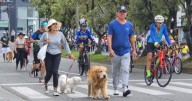 Recrevías en Manizales: la Alcaldía explica por qué no hay y cuándo vuelven