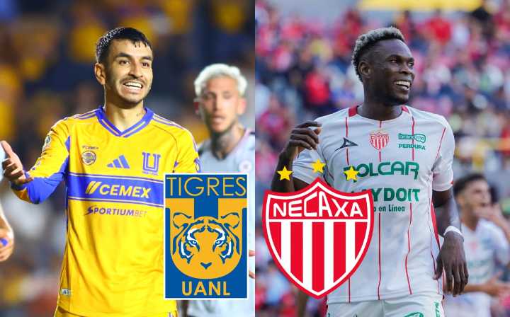 Tigres vs. Necaxa EN VIVO: ¿Cómo y dónde VER partido de la Jornada 13?