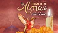 Festival de las Almas 2025; ¿Qué artistas conforman la cartelera?