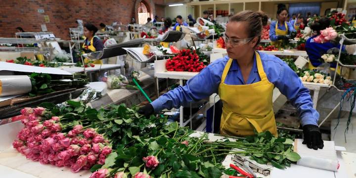 Industria se enfría y el comercio acelera: así se movió la economía colombiana en agosto