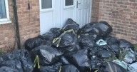 'My neighbour has left a mountain of rotting bin bags in their garden