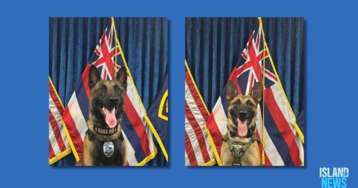 MPD welcomes 2 police dogs to police force