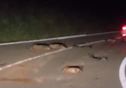 Un accidente deja cinco jabalíes muertos en la carretera que une Comillas y Cabezón