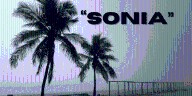 Tras fuertes lluvias en México, ahora comienza a formarse "Sonia"