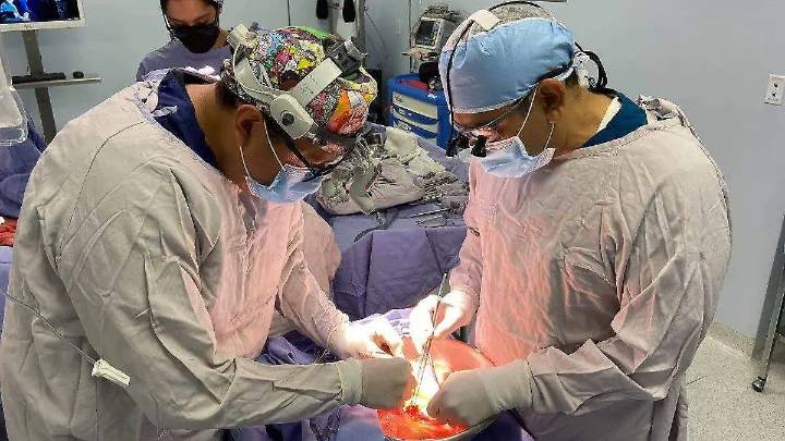 Órganos y tejidos que salvan vidas: lo que se puede donar tras el fallecimiento
