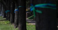 St. Paul woman ties ribbons on TC Marathon route for Annunciation victims