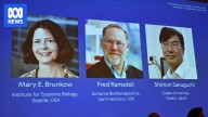 Trio of scientists win Nobel Prize in Medicine for 'discoveries concerning peripheral immune tolerance'