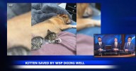 Kitten rescued by Washington State Patrol troopers on I