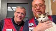 Beloved Lowe's store cat safely returns home after weekslong, 85