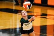 Girls volleyball: Senior stat leaders entering Oct. 15 matches
