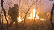El operativo de incendios cubrirá todo el año y tendrá un cuerpo nuevo de agentes medioambientales