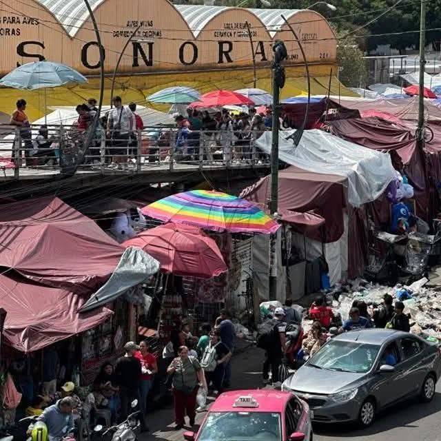 ¡Victoria para los animales! Tribunal prohíbe su venta en el Mercado Sonora