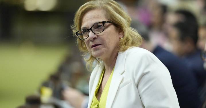 Trigger for new immigration powers 'intentionally not defined' in border bill: Diab