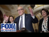 Schumer's 'iron grip' on Democrats is keeping the government shut down, senator says