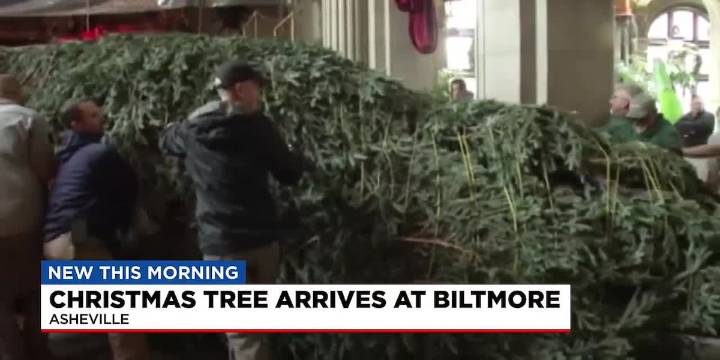 LIVE: Annual Christmas tree-raising at Biltmore House