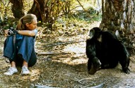 Jane Goodall Dies of Natural Causes on Speaking Tour in California