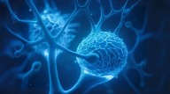 Identifican con IA mutaciones clave vinculadas con enfermedades neurodegenerativas