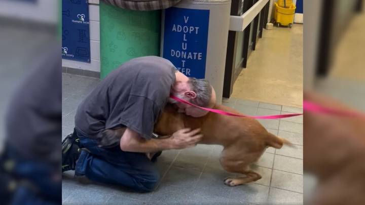 California Dog Waits 750 Days In Shelter Until Her Dad Returns After Cancer Battle