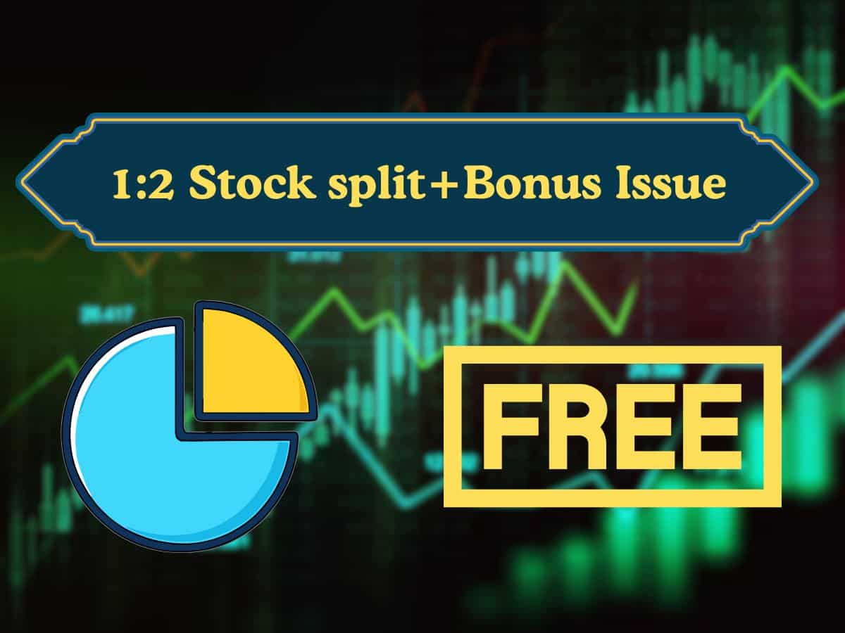 1:2 Stock split, 1:1 Bonus share: Chemical company to give free shares to shareholders