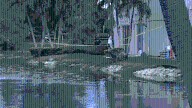Girl drowns in pond near Oakland Park apartment complex: BSO