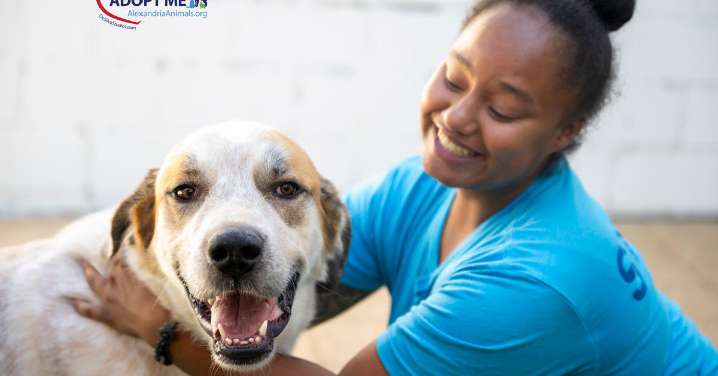 AWLA's Pawfect Match of the Week 