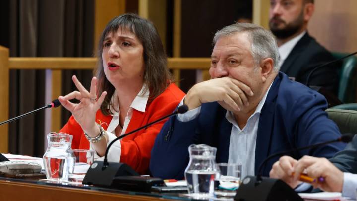 La vuelta de Gómez Gámez tras los audios del caso Koldo calienta el pleno de Zaragoza