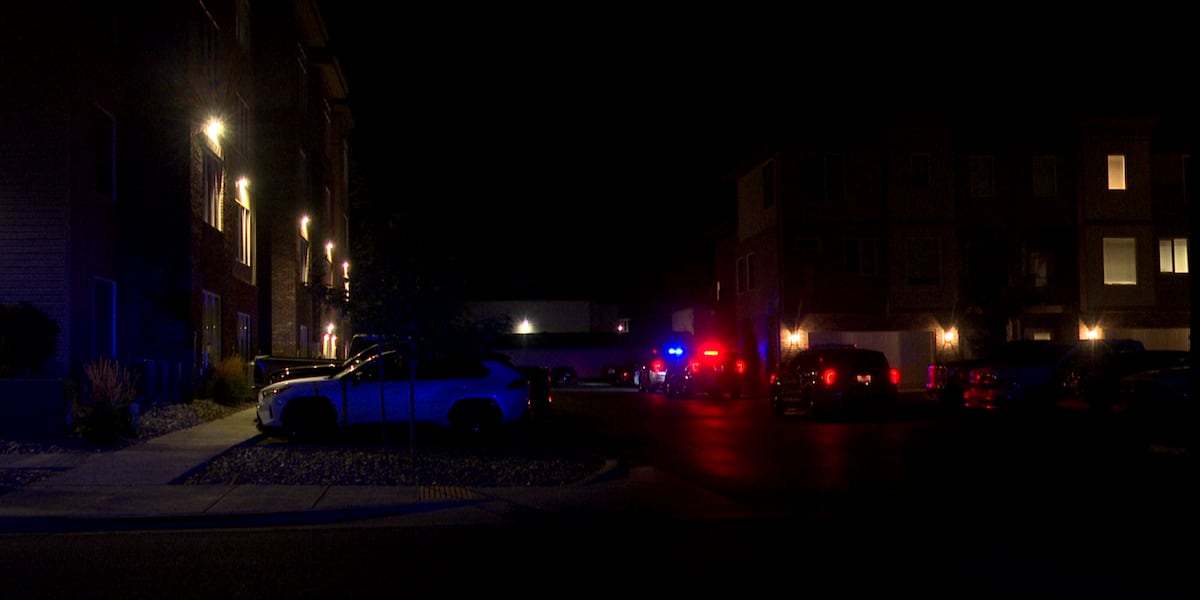 Man fires gun inside Twin Falls apartment, police say