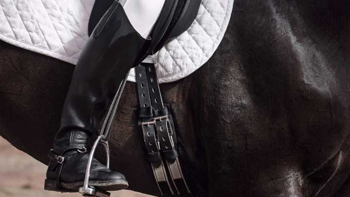 Best short dressage girths for comfort and movement