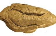 Científicos descifran prácticas sociales de hace 5.000 años a partir de un misterioso objeto