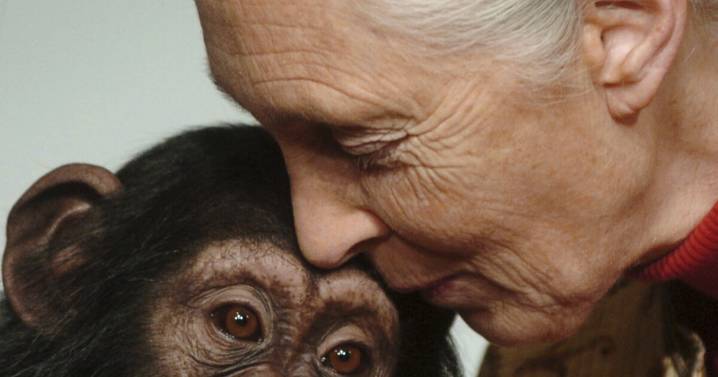 Opinion: Jane Goodall helped humans understand their place in the world