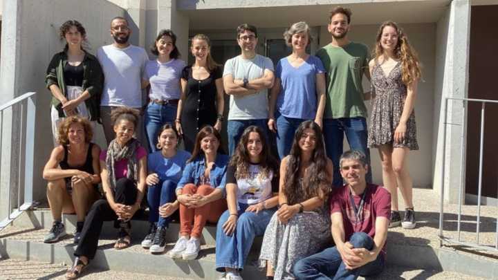Un estudio identifica el circuito cerebral clave detrás de la epilepsia mitocondrial en ratones