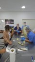 Productores misioneros se capacitaron en la elaboración de quesos artesanales con calidad y valor agregado
