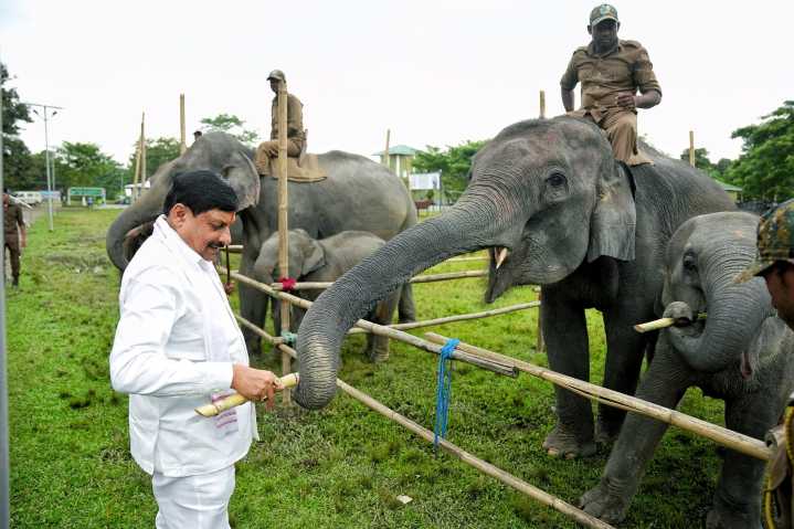 Madhya Pradesh CM visits Kaziranga, explores inter-state animal exchange plan