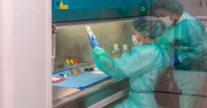 Ocho de cada diez hospitales carecen de suficientes expertos en oncología de precisión