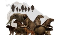 Perezosos gigantes, caballos y mastodontes: un estudio de la UNLP reabre el debate sobre la extinción de la megafauna